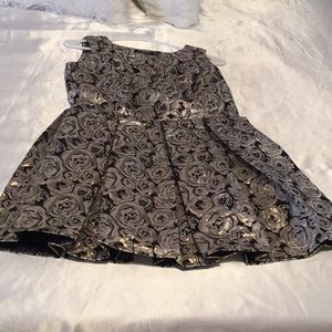 Never worn Skater dress